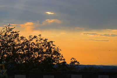 Silhouette tree against sky during sunset