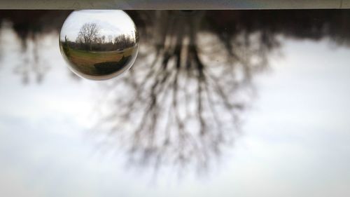 Reflection of clouds in water