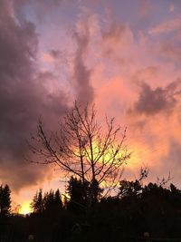 Low angle view of silhouette bare trees against romantic sky