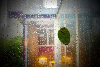 Close-up of wet glass window in rainy season