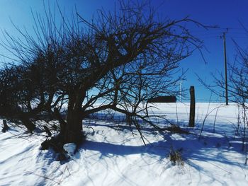 Bare tree on snow field against clear blue sky