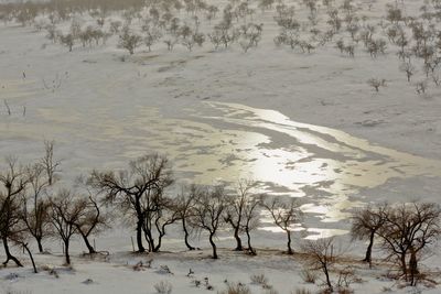 Scenic view of snow covered landscape