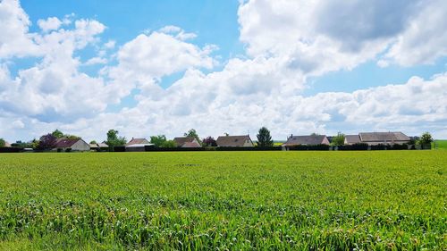 Houses on field against sky