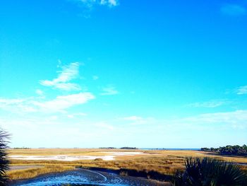 Scenic view of landscape against blue sky