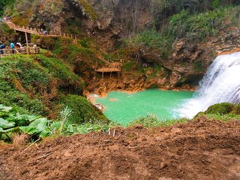 Scenic view of waterfall in forest