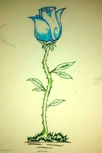 Close-up of plant against wall