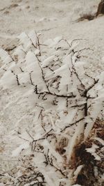 Close-up of sand in desert