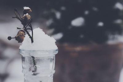 Close-up of glass of jar