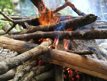 Close-up of firewood on log