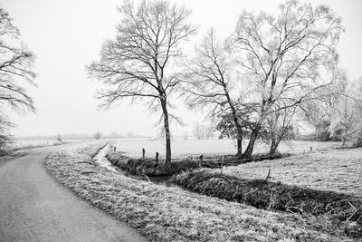 Bare trees on field against sky