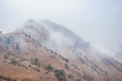 environment