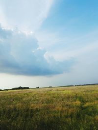 Scenic view of field against sky