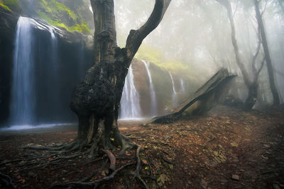 waterfall
