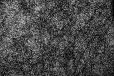 Full frame shot of bare tree