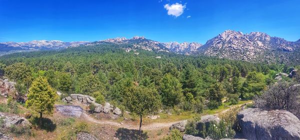 Scenic view of mountains against blue sky