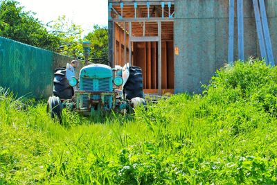 Shot of tractor in unkept garden 