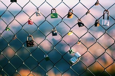 Close-up of padlocks on chainlink fence against sky