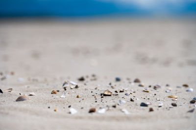 Close-up of sand on beach against sky