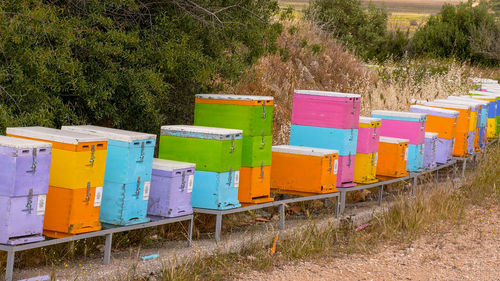 apiary