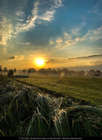 Scenic view of field against sky during sunset