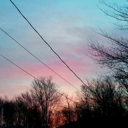 Low angle view of silhouette trees against sky