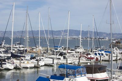 Sailboats moored on harbor against sky