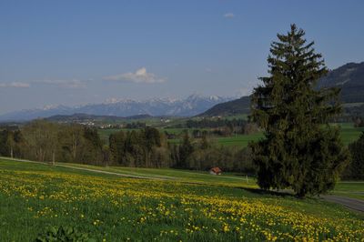 Scenic view of landscape and mountains against sky