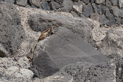 High angle view of rocks on land