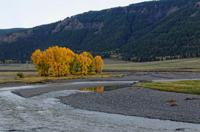 Scenic view of trees by lake against sky during autumn