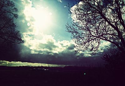 Low angle view of trees against cloudy sky