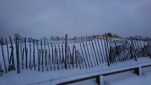 Frozen plant against sky during winter