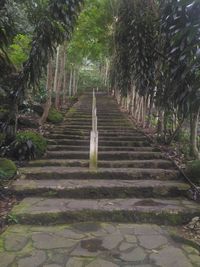Steps leading towards staircase
