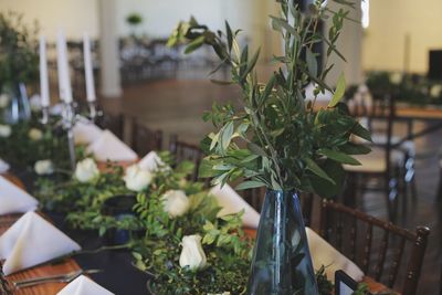 Close-up of potted plant on table in restaurant