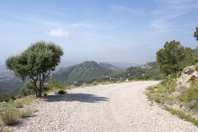 Road by trees against sky