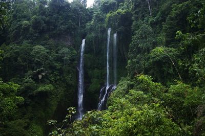 Scenic view of waterfall in forest