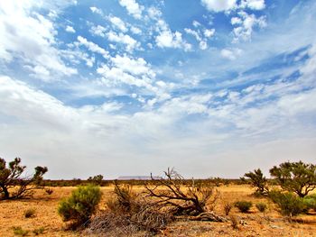 Scenic view of landscape against sky