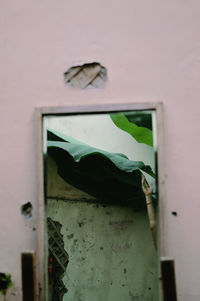 Close-up of broken window