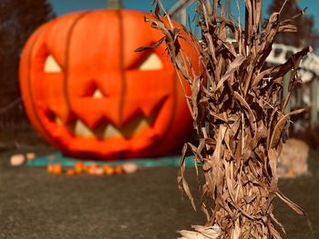 Close-up of jack o lantern and dry leaves during halloween