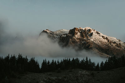 Low angle view of trees on mountain against sky
