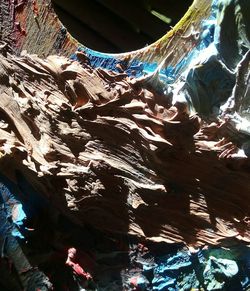 Low angle view of trees on rocks