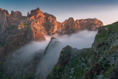 Panoramic view of waterfall in forest