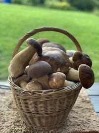 Close-up of mushrooms in basket