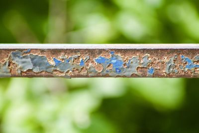Close-up of rusty metal railing against wall