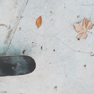 Close-up of leaves