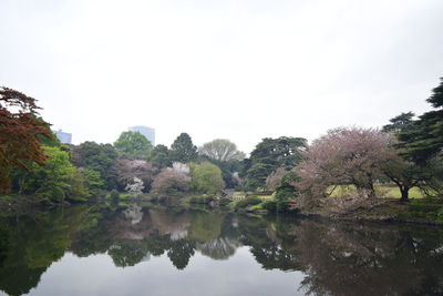 Pond in park