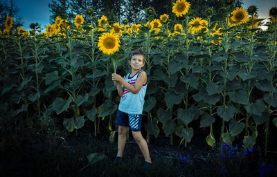 Full length portrait of girl standing on sunflower