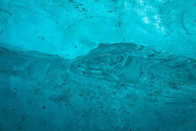 View of fish swimming in sea