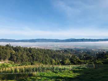 Scenic view of landscape against sky