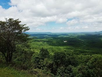 Scenic view of forest against sky