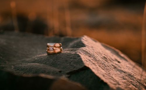 Close-up of wedding rings on rock